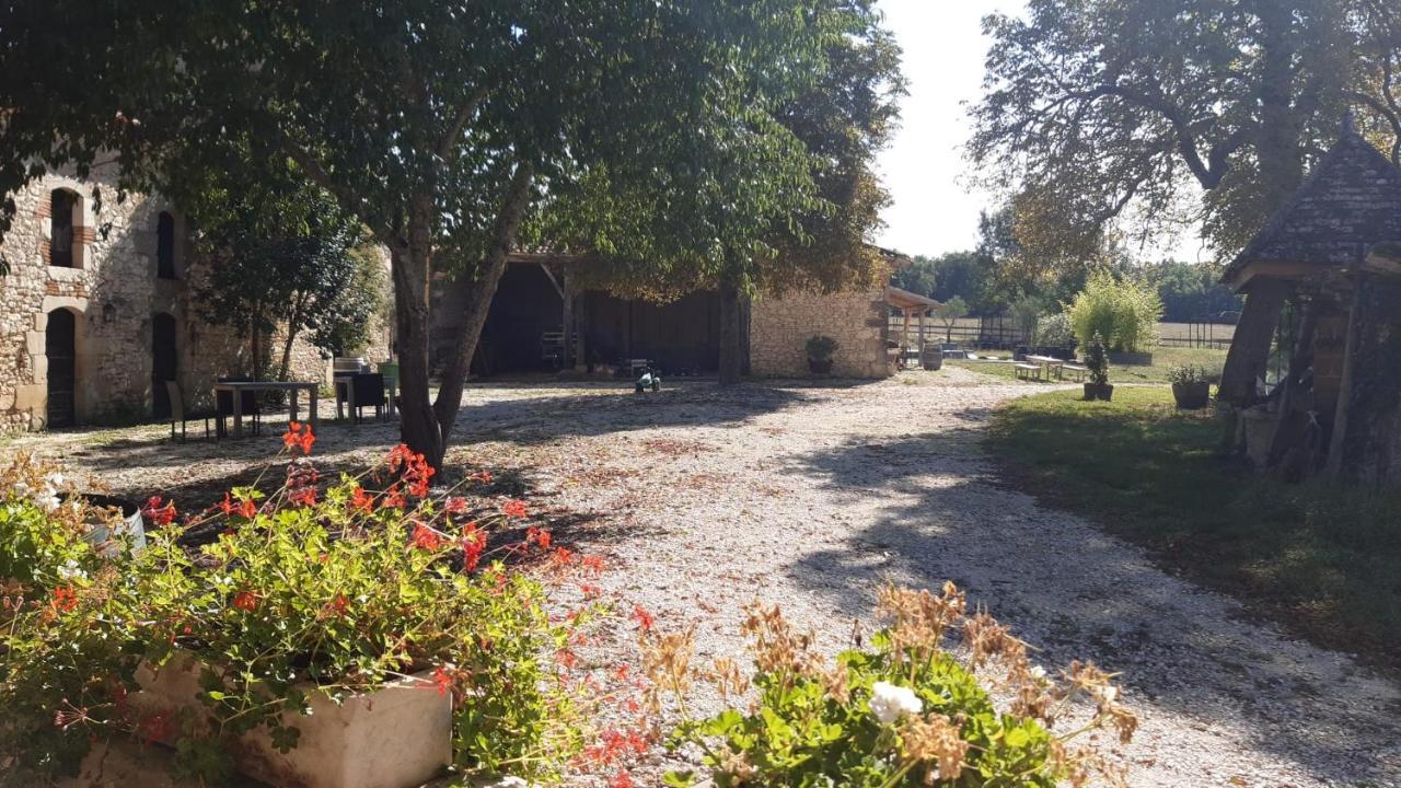 Bed and Breakfast Domaine L'Esprit D'Antan Villeneuve-sur-Lot Exterior foto